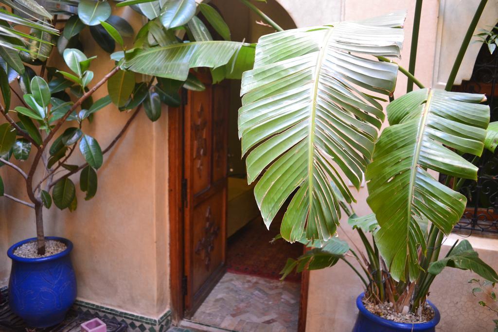 Riad Hotel Belleville Marrakech Marrakesh Eksteriør billede