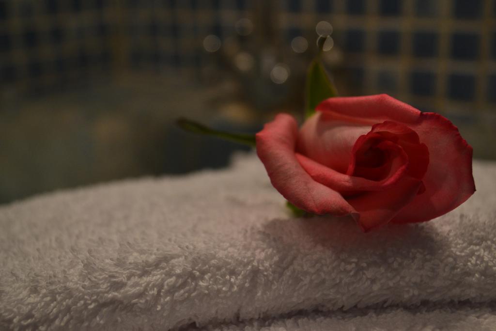 Riad Hotel Belleville Marrakech Marrakesh Eksteriør billede