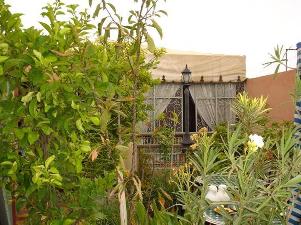 Riad Hotel Belleville Marrakech Marrakesh Eksteriør billede